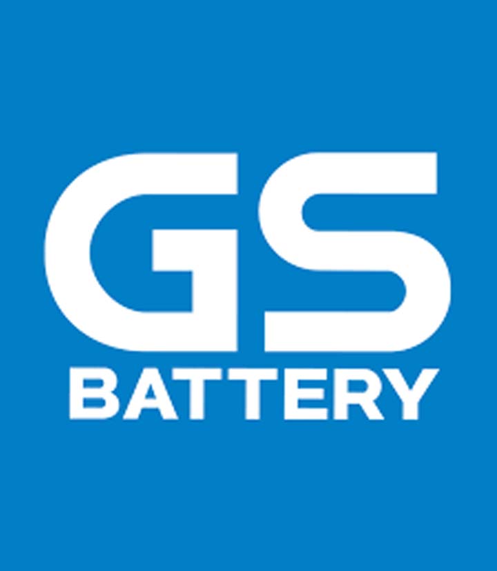 GS Battery